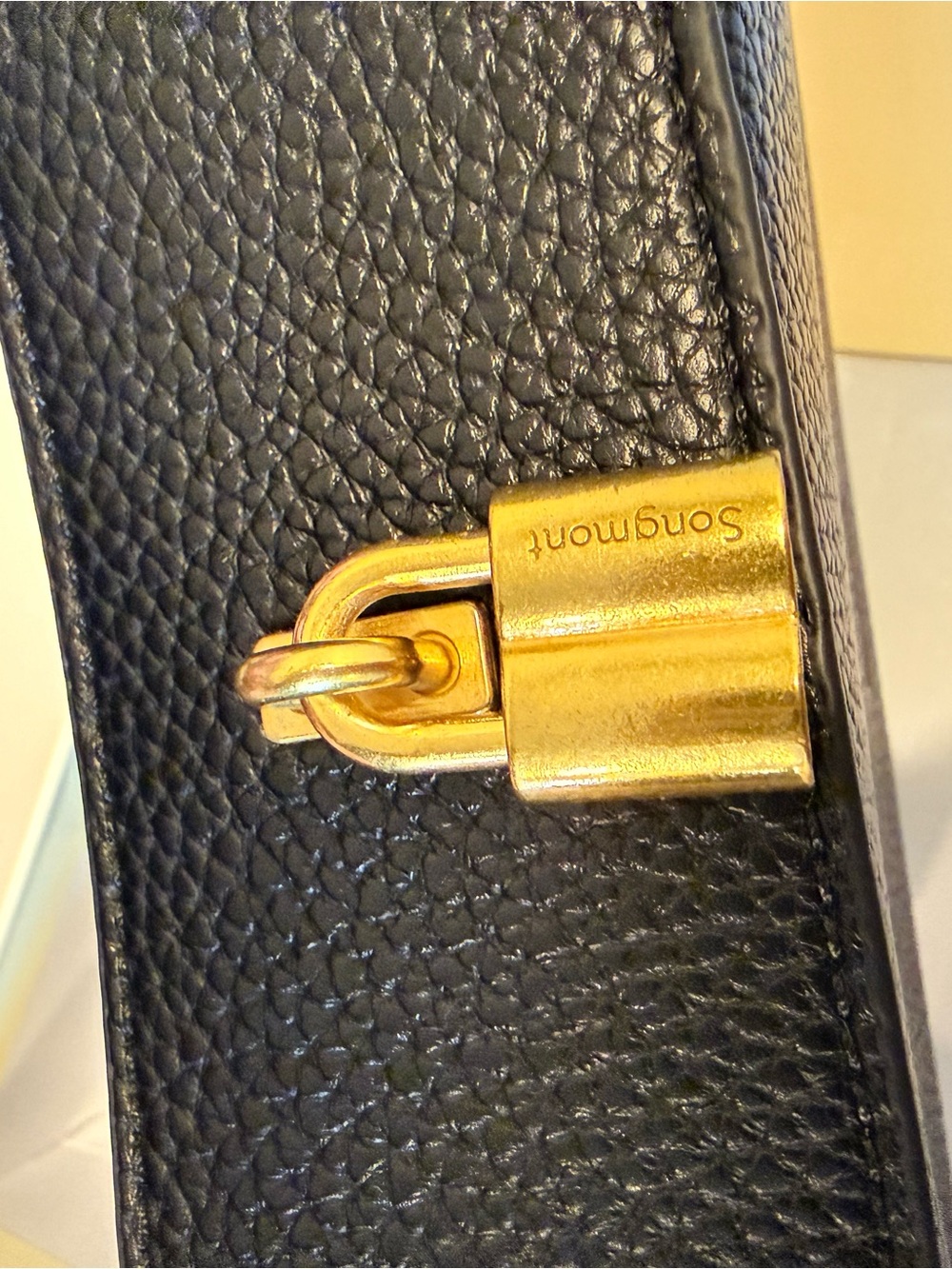 Songmont Black Textured Real Leather Luna Crossbody - Picture 4 of 6